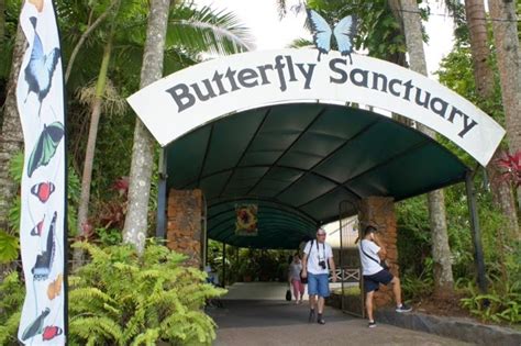 Kuranda Sights: The Butterfly Sanctuary - Vikingess Voyages