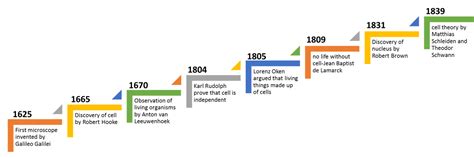 Cell History Timeline