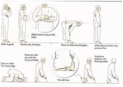 Insight Quran: Medically Proven Benefits of Salah