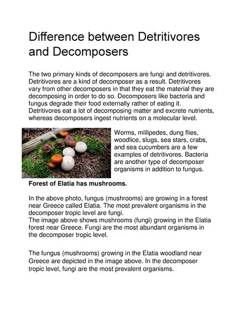 Difference between Detritivores and Decomposers - Detritivores are a ...