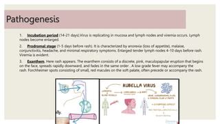 Measles and Rubella | PPT