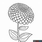 Zinnia Coloring Page  Easy Drawing Guides In 2024 Pages sketch template