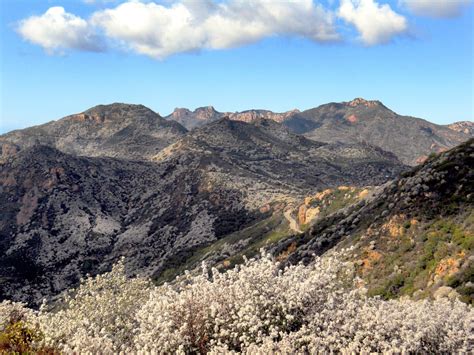 Chaparral in California - Geography Realm