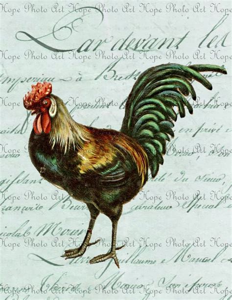 French Country Rooster 8.5x11 Digital Collage by HopePhotoArt