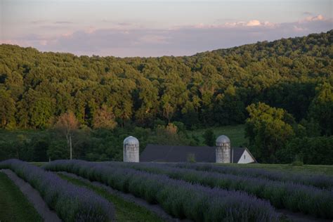 About Us — WARWICK FURNACE FARM