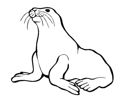 Seal Clipart Black And White | Free download on ClipArtMag