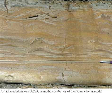 Facies and facies models - Geological Digressions