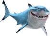 Sharks at Animated-Gifs.org