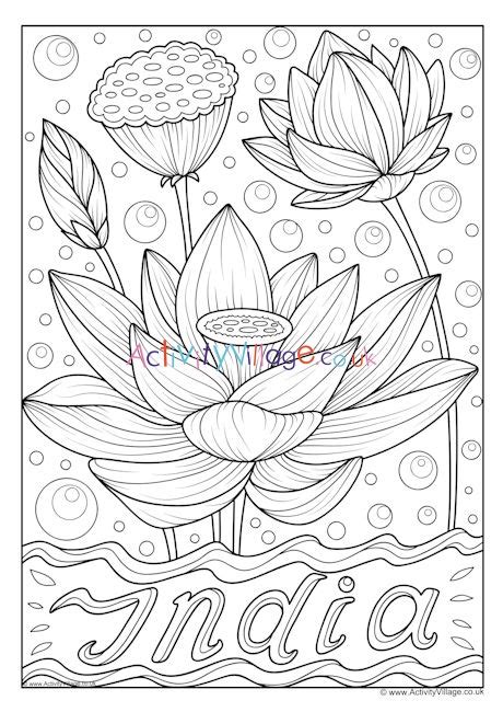 India National Flower Colouring Page