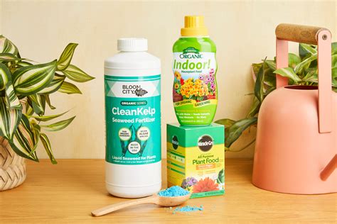 The Best Indoor Fertilizer Buying Guide