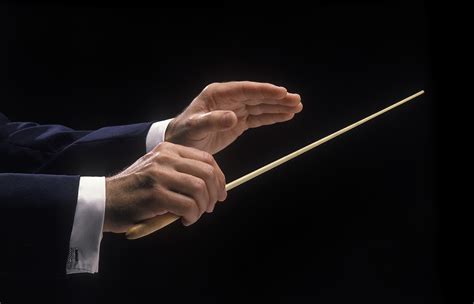 Symphony Conductor Stick