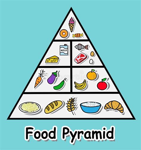 Food pyramid stock vector. Illustration of healthy, group - 45563764