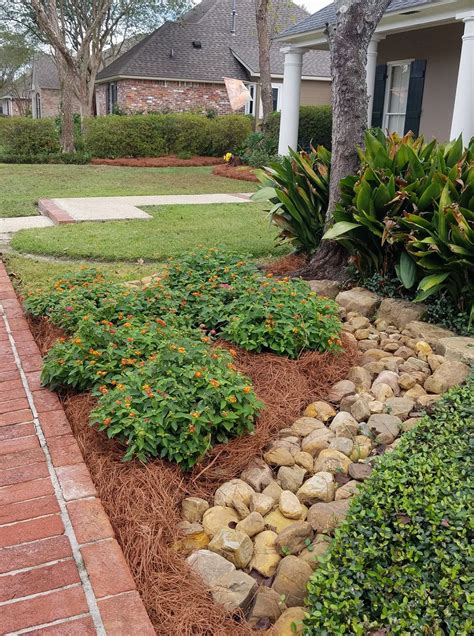 Pin by Lala A on Pine Straw Landscaping | Pine straw landscaping, Landscaping with rocks ...