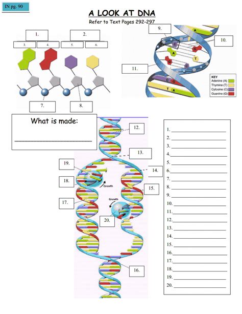 Pin on Central Dogma