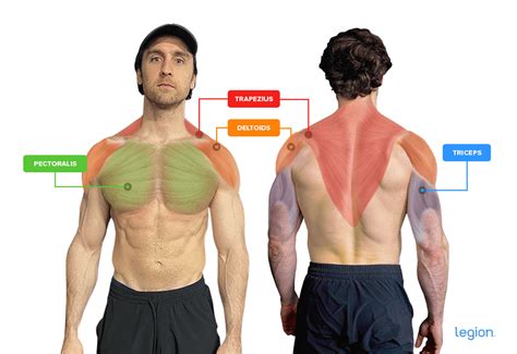 How to Do the Push Press: Muscle Worked, Form, and Benefits | IronMag ...