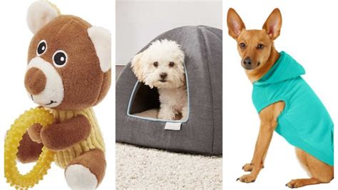 Looking For Discounted Puppy Products? Chewy Is Offering 20% Off All February | LittleThings.com