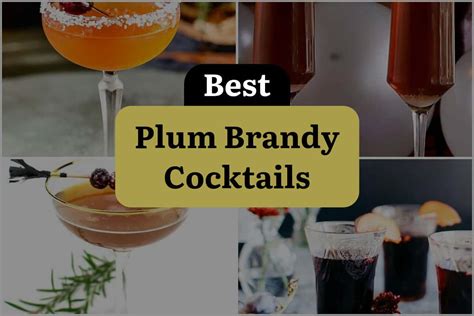 5 Plum Brandy Cocktails That Will Rock Your World! | DineWithDrinks