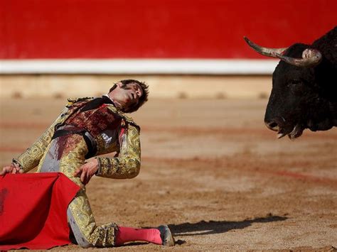 Juan José Padilla, gored, eye, bull, bullfight, matador, Spain, | Herald Sun