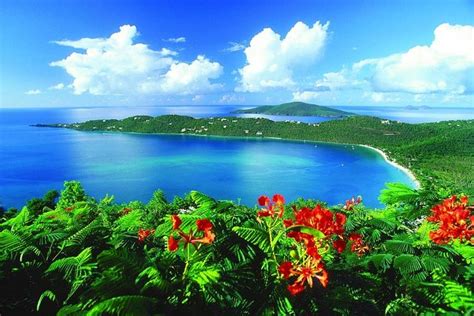 St. Thomas Private Taxi Tour for up to 14 Passengers 2023 - St Thomas