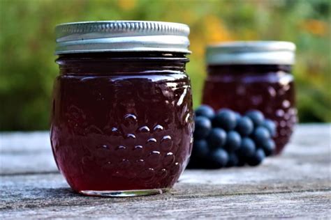 Homemade Grape Jelly — Practical Self Reliance