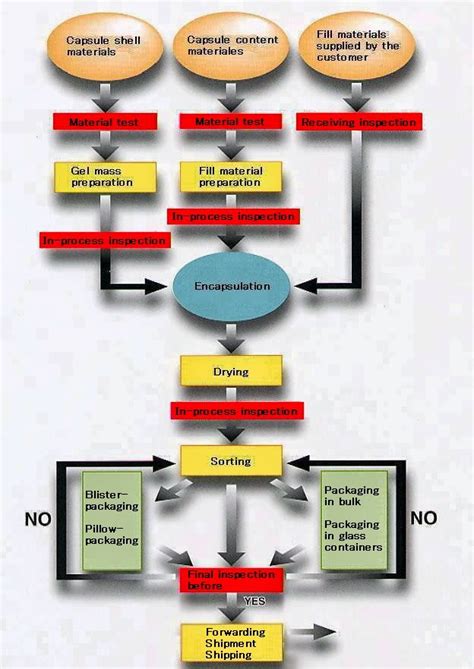 Manufacturing Process Of Soft Gelatin Capsules