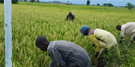 AGRICULTURE BUDGET TRENDS ANALYSIS REPORT | Oxfam in Nigeria