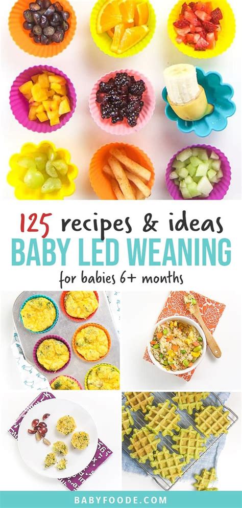 125 Baby Led Weaning Foods (Starter + Recipe Ideas) - Baby Foode ...