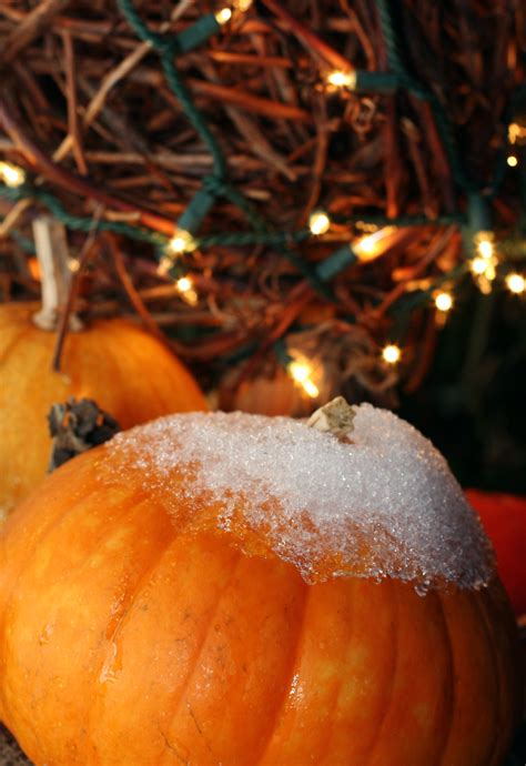 Frost on the Pumpkin | Flickr