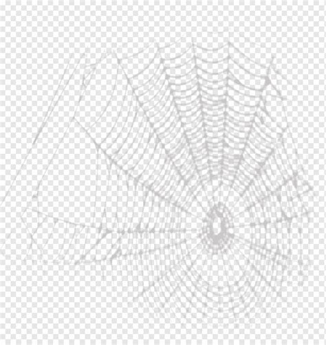 Spider web Drawing, Cartoon spider web painted material, watercolor ...