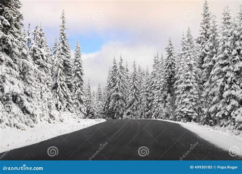 Winter road stock image. Image of weather, snow, transalpina - 49930185