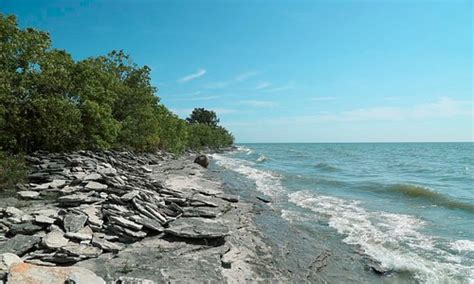 Pelee Island 2024: Best Places to Visit - Tripadvisor