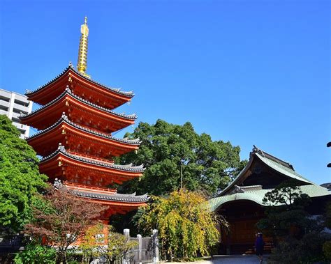 THE 10 BEST Things to Do in Fukuoka - 2024 (with Photos) - Tripadvisor