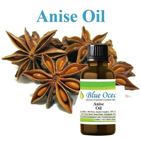 Aniseed Oil at ₹ 200/piece | Anise Oil in Chennai | ID: 17630984697