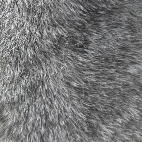 "GREY WOLF FUR" by johnhunternance | Redbubble