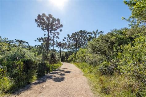 Premium Photo | Hiking Trail of Itaimbezinho Canyon at Aparados da ...