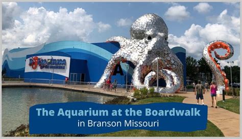 The Branson Aquarium at the Boardwalk - Branson Aquarium Review and Tips - ...and Blue Sky