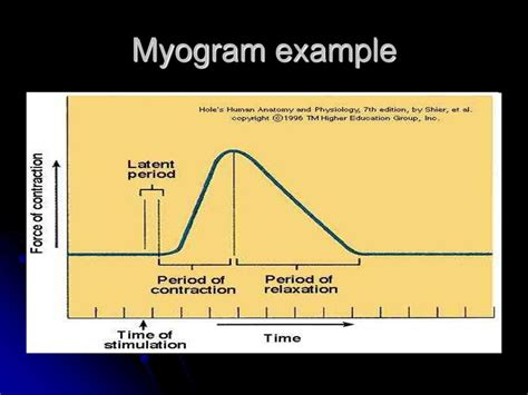 THE SOURCE OF ENERGY FOR THE MUSCULOSKELETAL SYSTEM - ppt download