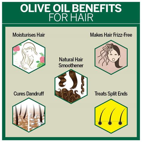 Benefits Of Olive Oil Good For Hair - health benefits