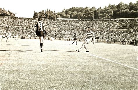 Lion eyes – A Celtic legend’s perspective