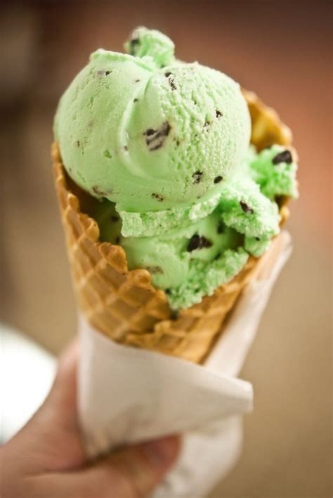 Mint green ice cream | Mint chocolate chip ice cream, Mint chocolate ...