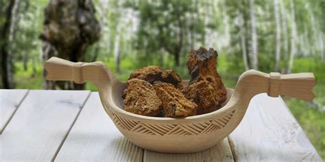 9 Things You Didn't Know About Chaga