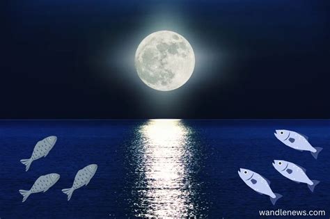 Moon Phases For Fishing 2025 - Merl Cherida