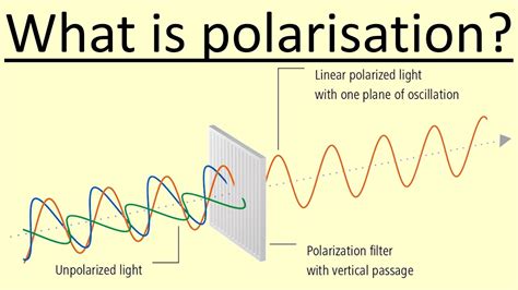 4.04 What is polarisation? - YouTube