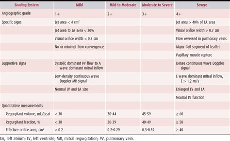 Mitral Valve Regurgitation Severity Scale