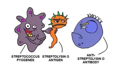 ASO (Antistreptolysin O) Titre Blood Test | Microbiology