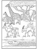 Jungle Coloring Pages Free Printable PDF sketch template