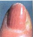 Quia - Chapter 21 (8): Nail Vocabulary Part 3