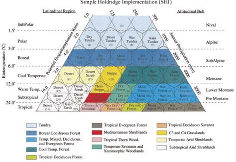 The Holdridge Life Zone Model, showing the aggregation of the 13 SiVVEG ...