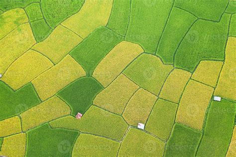 Aerial view of the green and yellow rice field 2305092 Stock Photo at ...