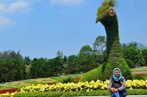 Taman Matahari Cisarua Bogor - Pinhome